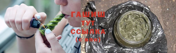метадон Богданович