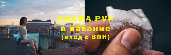 метадон Богданович