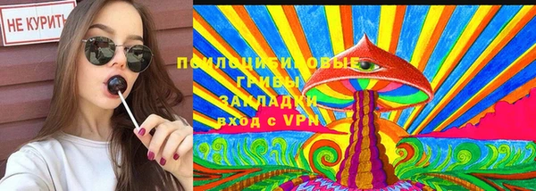 apvp Сосновый Бор