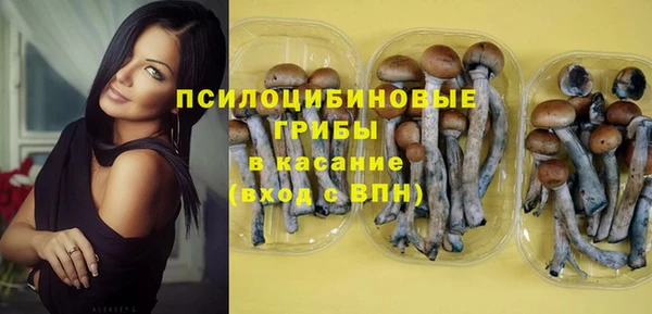 гидропоника Баксан