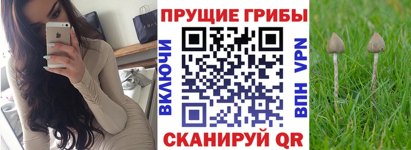 купить закладку  Комсомольск  Псилоцибиновые грибы прущие грибы 